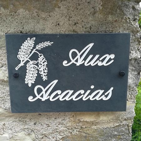 Vila Aux Acacias Braye-sous-Faye Exteriér fotografie